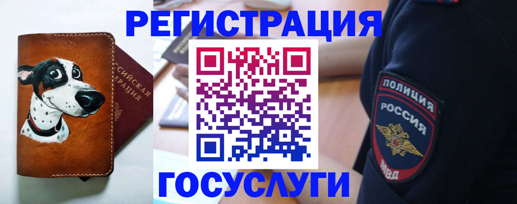 временная регистрация в квартире в Балее